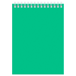 Блокнот BG "Для конференций" на спирали, А5, 60 листов в клетку, зеленый