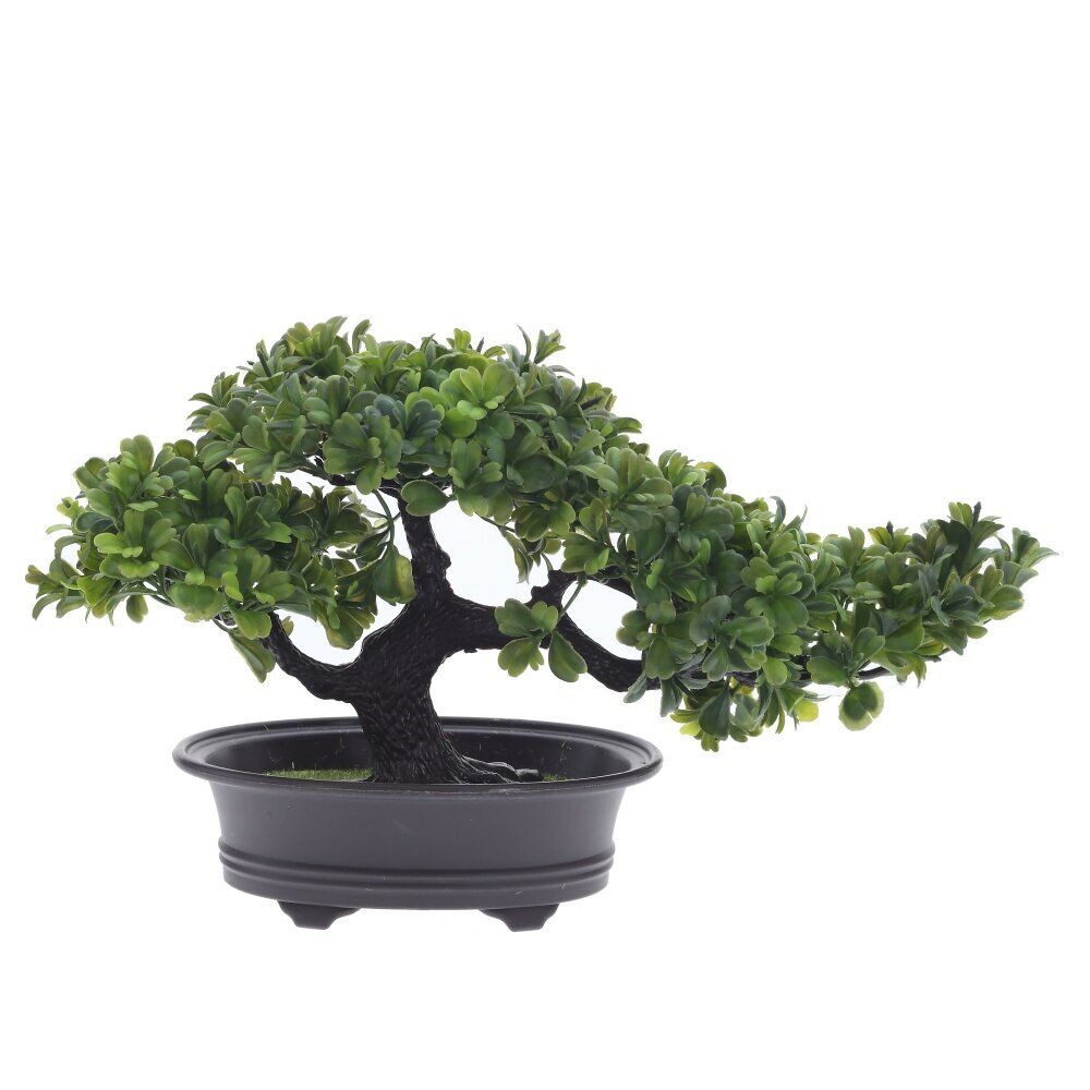 GAEM Цветочная композиция "Бонсай", L32 W13 H19 см