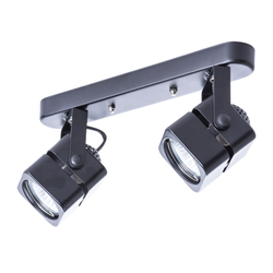Спот Arte Lamp A1315PL-2BK