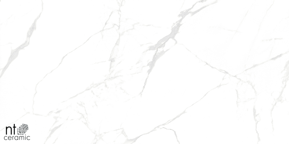 Керамогранит Callacata carving NTT99607M 600*1200мм матовая
