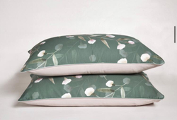 Постельное белье ЕВРО (двуспалка) Египедский Хлопок ЗЕленый лепестки