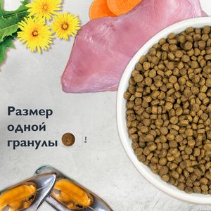 Сухой корм Brit Care Cat Kitten Healthy Growth для котят и беременных кошек, Здоровый рост