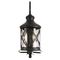 Уличный настенный светильник Loft IT Ferrara 100020W