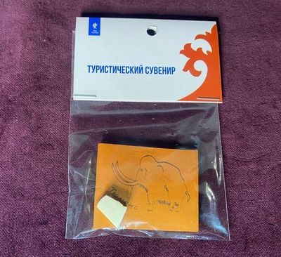 Магнит кожа с фрагментом бивня мамонта