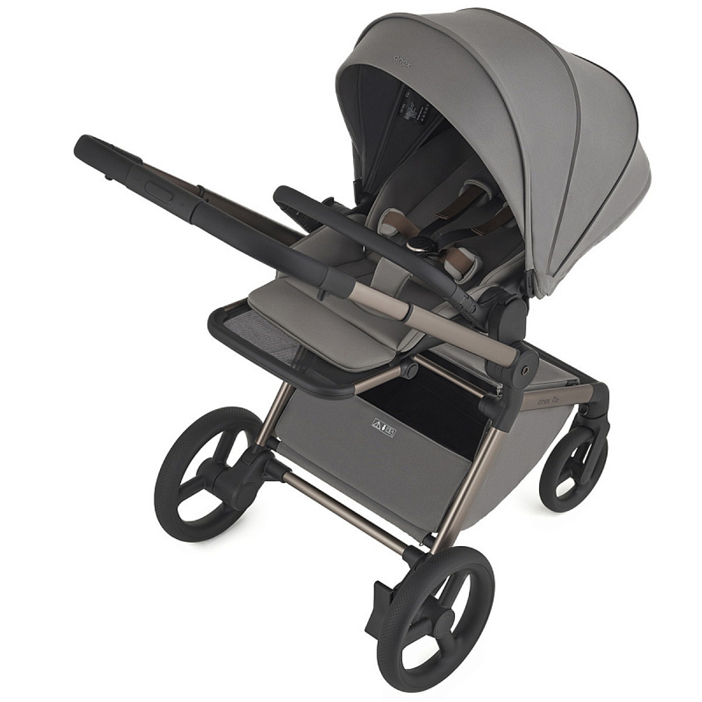 Детская коляска Anex Flo 2 в 1 Charm