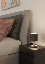 Настольная лампа Eglo MONTETTO 31842