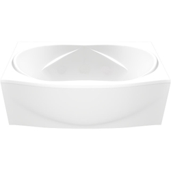 Фронтальная панель Bas Фиеста 194