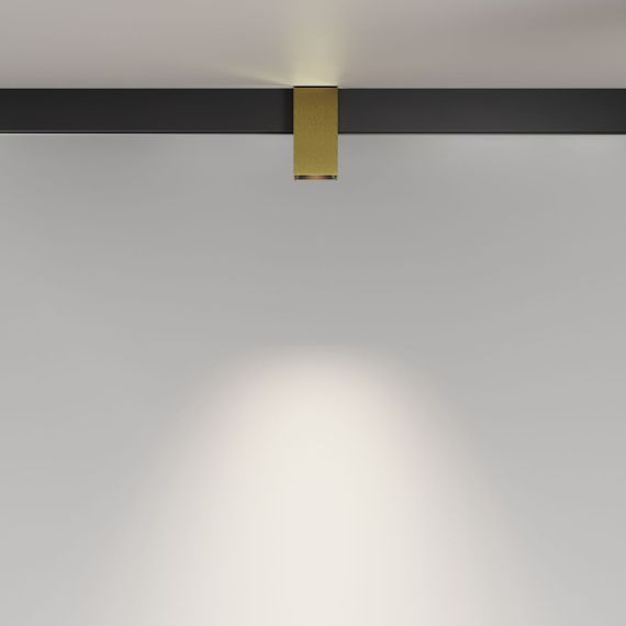 Трековый светодиодный светильник Maytoni Technical Magnetic Exility Alfa TR121-2-7W4K-BS