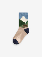 Носки хлопковые для мальчика Next E13-103, 5 шт., Синий, Зеленый, Бежевый