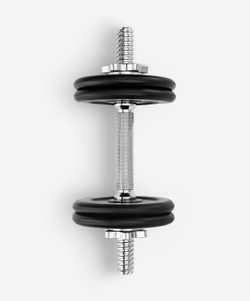 Гантель разборная обрезиненная в коробке DB-716, 5 кг