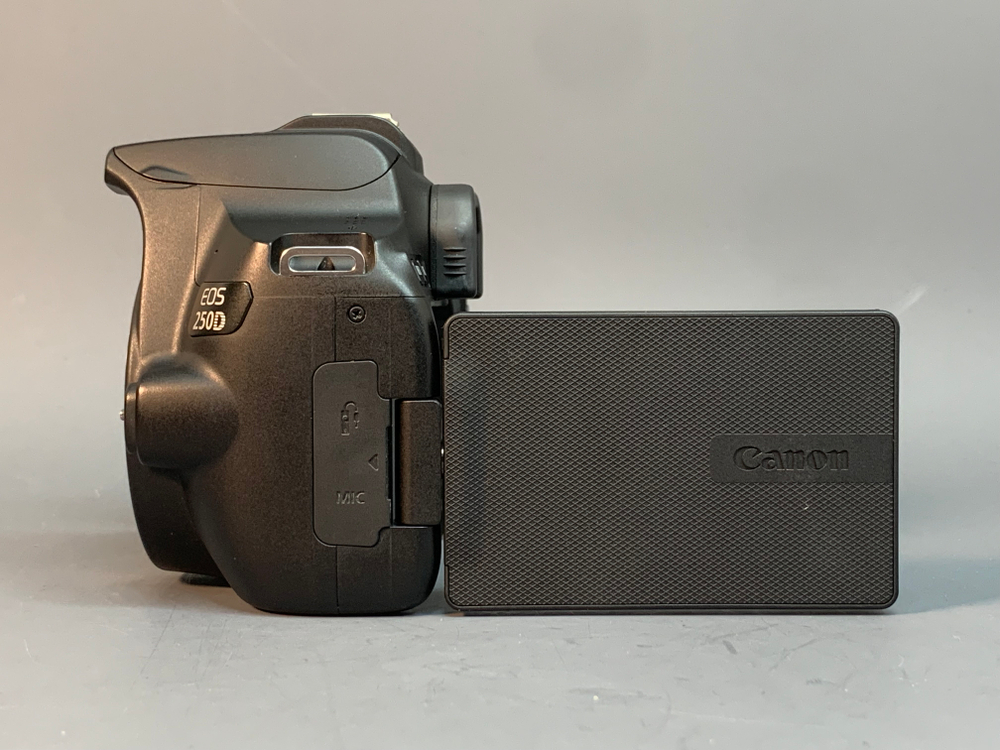 Canon 250D Kit 18-55mm STM 22.000 кадров