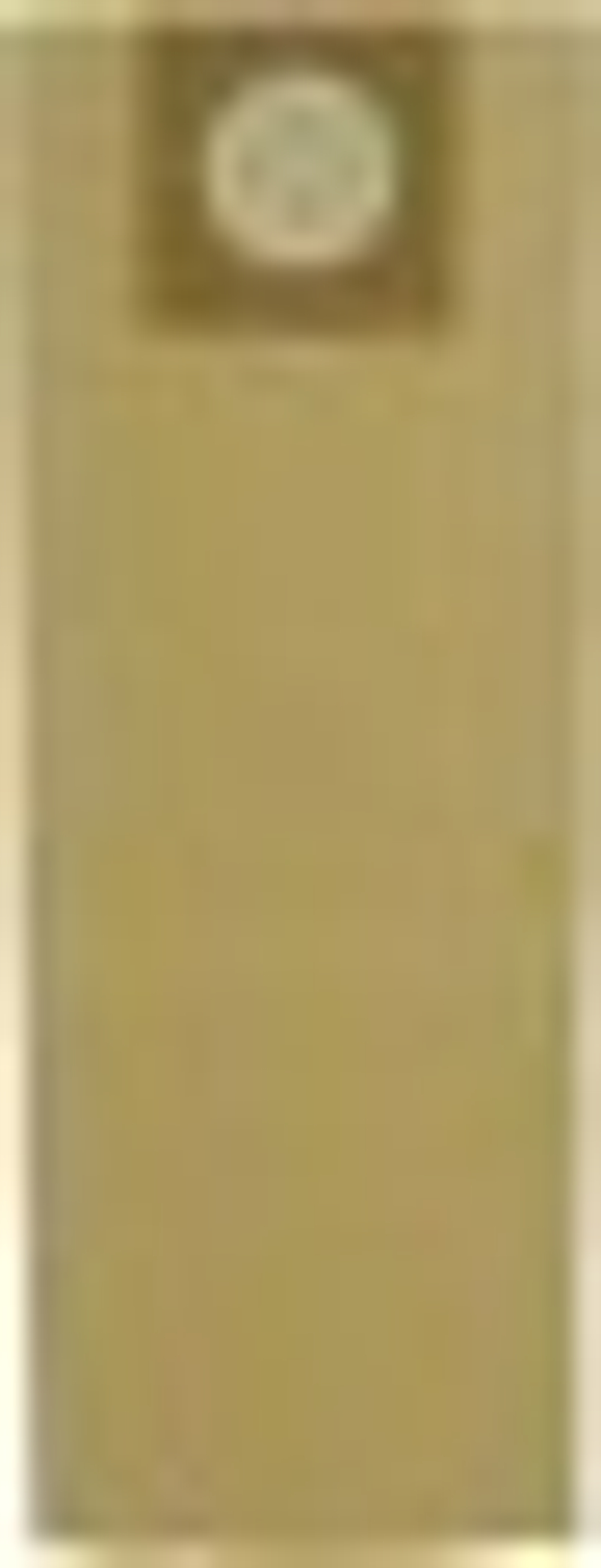 Пылесос для строительных работ Sturm VC7360