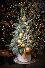 Ёлочка Сказочный сон