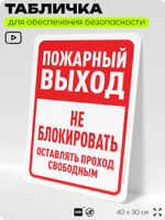 Табличка для обеспечения безопасности "Пожарный выход, не блокировать", для офиса, по охране труда для предприятия, организаций, 40х30 см, Silver Plane x Айдентика Технолоджи