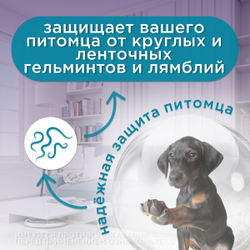 Капли на холку от блох, клещей и гельминтов собак более 10 кг Гельминтал С SPOT-ON (Neoterica), 2 пипетки Моксидектин/Празиквантел