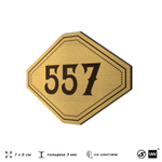 Номерок на дверь квартиры 557, для кабинета, офиса, шильдик 9 х 7 см, золотистый, Айдентика Технолоджи