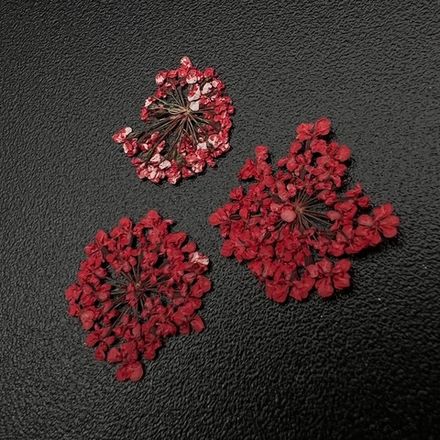 Zoo nail Сухоцветы Любимые цветочки, 1680