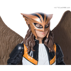 DC Comics - Фигурка супергероя HAWKGIRL 30 см 20152165