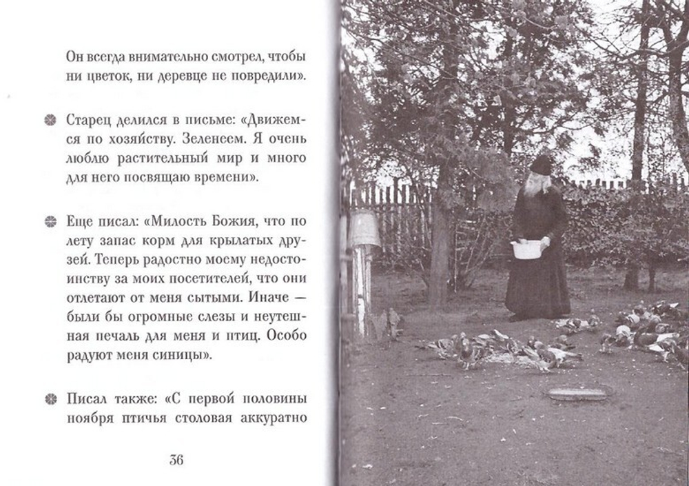 Протоиерей Николай Гурьянов. Серия "Люди Божии"