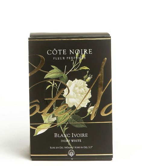 Роза цвета слоновая кость в черной вазе, Cote Noire