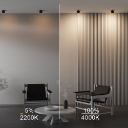 Светильник встраиваемый светодиодный Maytoni   DL024-12W-DTW-B