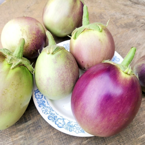 Баклажан Баба Маня