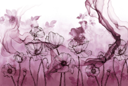 Коллекция Grafika Natura