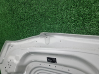 Капот BMW X5 G05 X6 G06 (2018-н.в.)