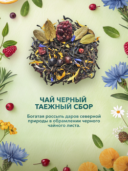 Подарочный набор Русский богатырь 9 чаев