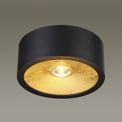 Накладной светильник Odeon Light 3878/1CL