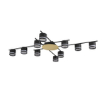 Потолочная люстра Lumion BENUA 8304/10C