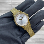 Festina F20495/1