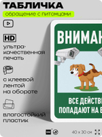 Табличка "Внимание, все действия попадают на видео" на дверь и забор, для двора, дома, подъезда, 40х30 см, Silver Plane x Айдентика Технолоджи