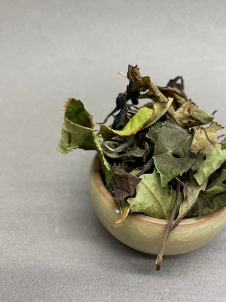 Тетри Ивниси