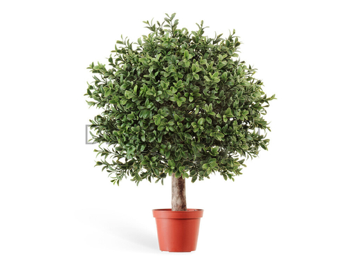 Самшит Шар уличный новый в-40, д-30 см 6/12 10.44530N