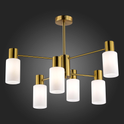 Светильник потолочный Evoluce Gessi SLE1139-302-06