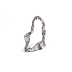 Статуэтка Wunderkammer Shark Jaw