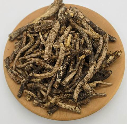 Вздутоплодник сибирский (корень)