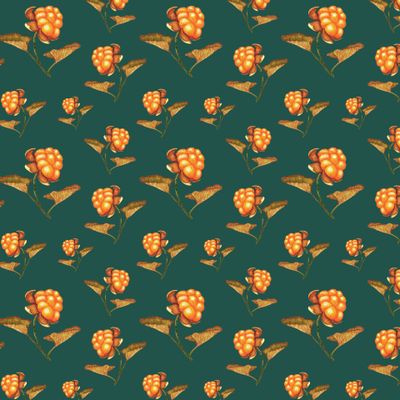 Морошка на зелёном крупная