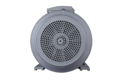 Электродвигатель ESQ PR 280 S4-SDN-Б1-S12-IE2 75/1500 IMB3