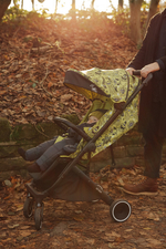 Детская прогулочная коляска Anex AIR-X Ax-SE-01 se woo