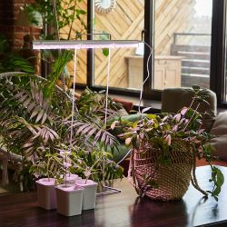 ULI-P12-10W-SPLE IP40 WHITE Светильник для растений светодиодный линейный. 560мм. выкл. на корпусе. Спектр для фотосинтеза. TM Uniel