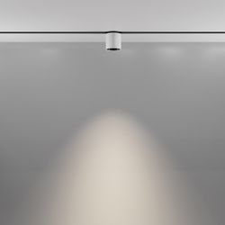 Светильник на штанге Maytoni Alfa S TR132-2-7W4K-W