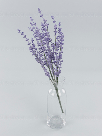 Лаванда Ранья