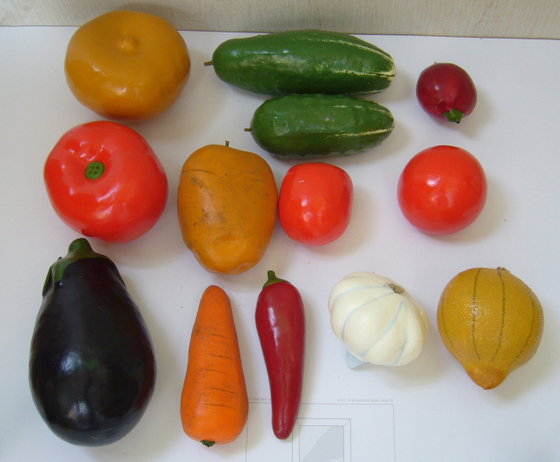 Набор муляжей "Дикая форма и культурные сорта томатов"