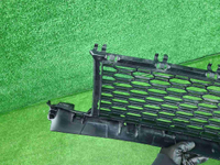 Решетка переднего бампера BMW X1 F48 19-22 M-paket