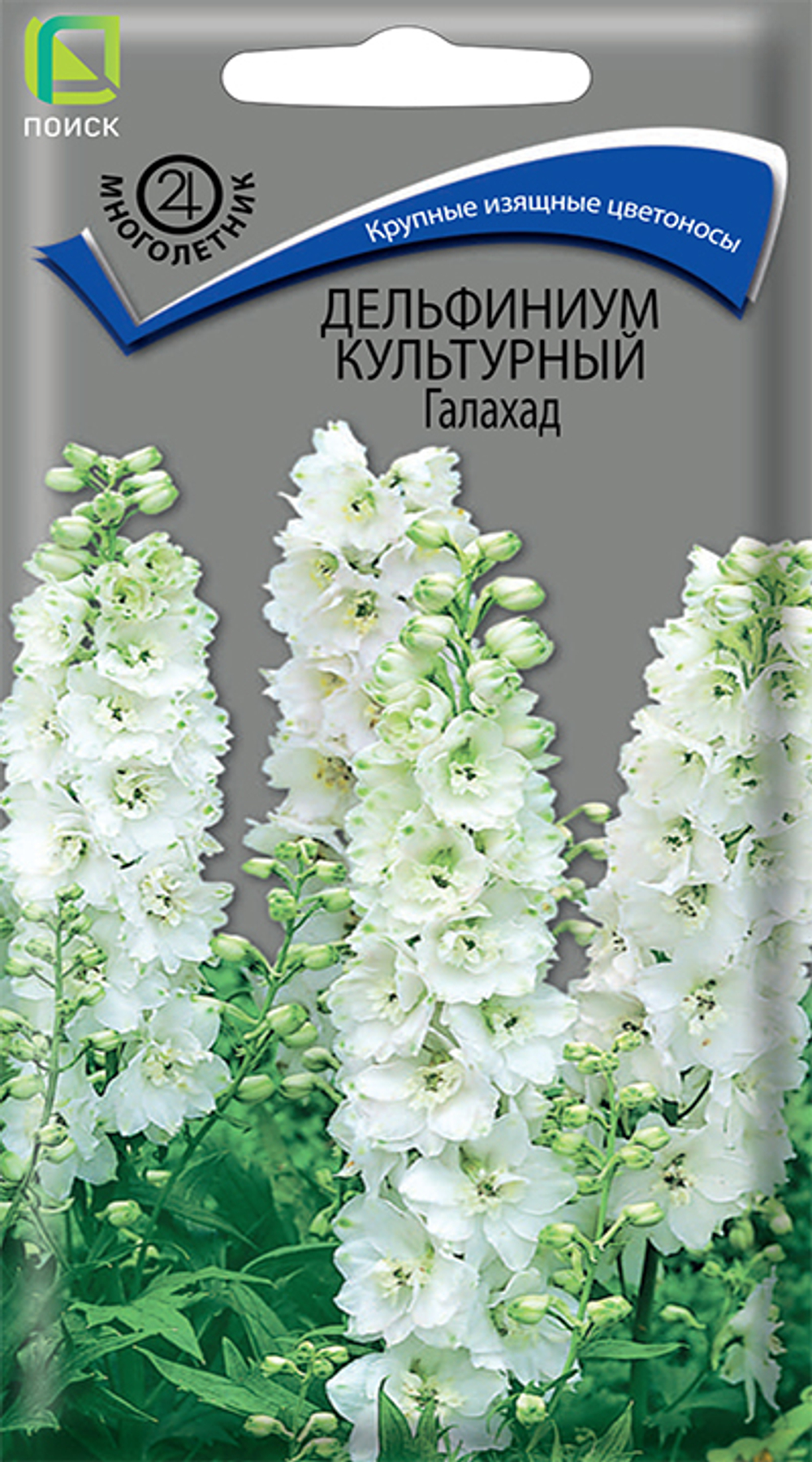 Дельфиниум культурный Галахад
