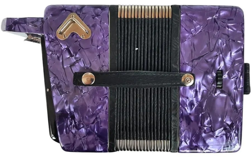 ГАРМОНЬ "ЧАЙКА-204" (S6ХL), ЦВЕТ ФИОЛЕТОВЫЙ