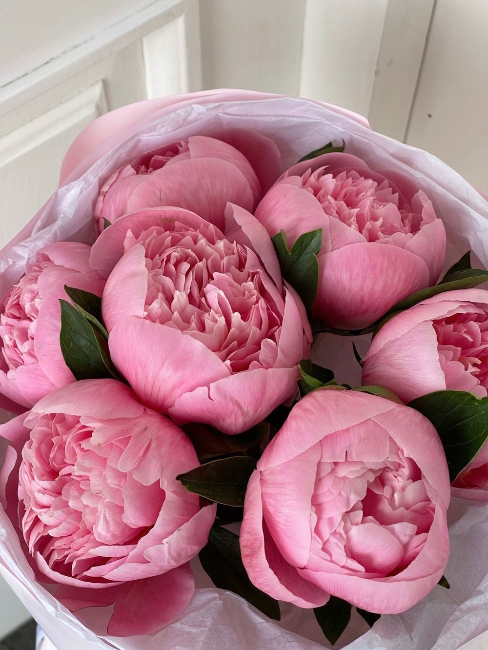 Букет 7шт пионов