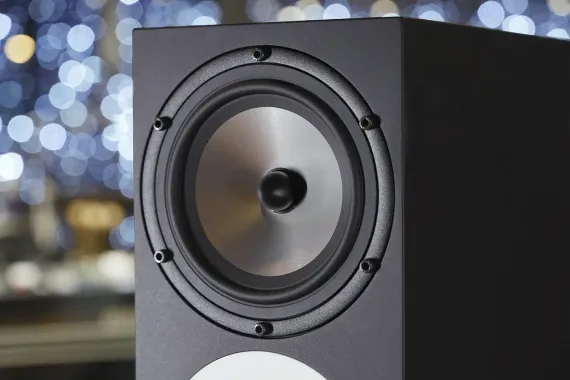 Amphion Two18 Black